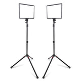 ProMaster Ultrasoft US1014B 10x14-Inch 2-Light Bi-Color Transport Kit
