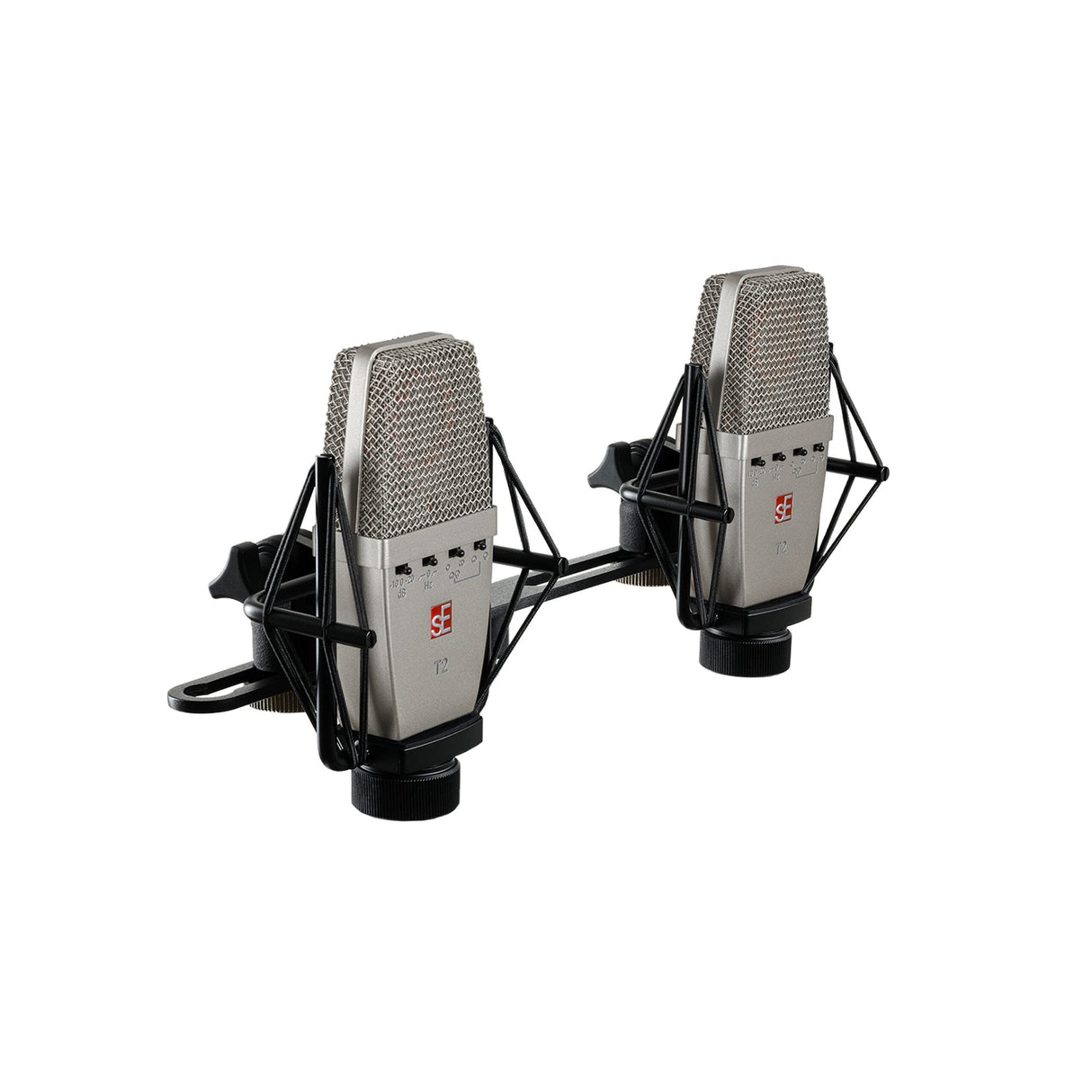 sE Electronics T2 P Multi-Pattern Large Diaphragm Microphone, Matched Pair