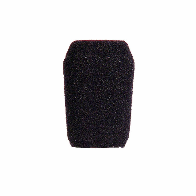 Earthworks SRW4 Large Foam Windscreen for SR20 SR30 & SR30/HC
