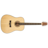 Peavey Delta Woods DW-1 Acoustic Guitar with Bag - guitar