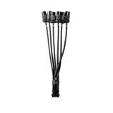Elite Core 19 Pin Soco Breakout to L6-20 Female Lighting Power Cable with Phase 3 Spider Connector 5 Foot
