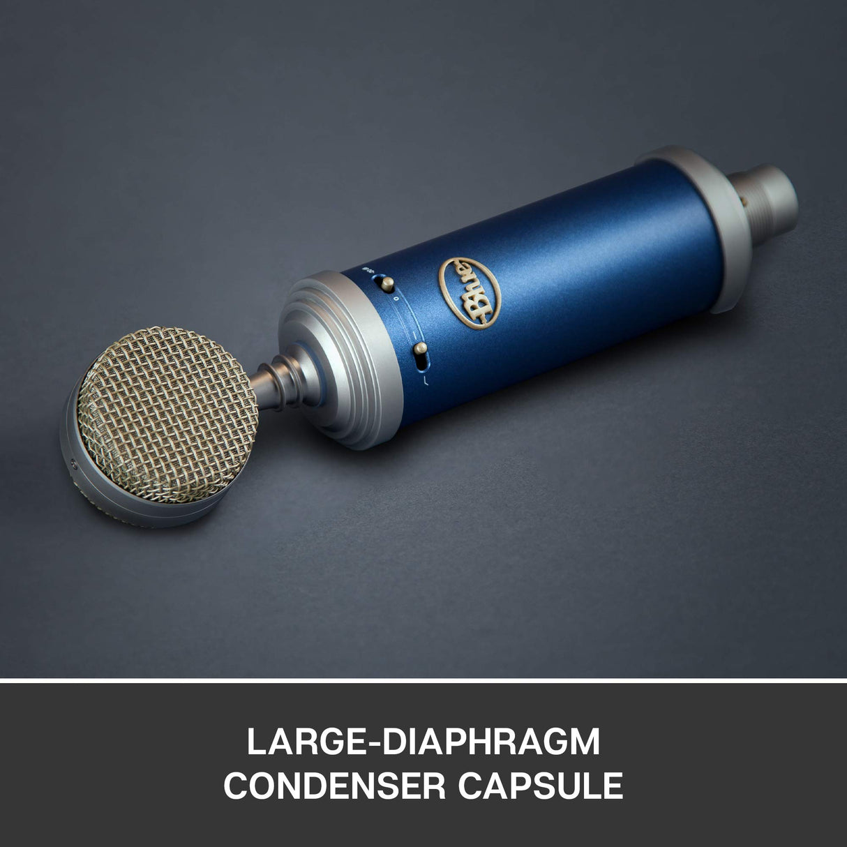 Blue Bluebird SL Large-Diaphragm Cardioid Studio Condenser Microphone