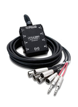 Hosa SH-6X2-50 6 x XLR Sends and 2 x 1/4-Inch TRS Returns Little Bro Sub Snake 50-Feet