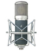 sE Electronics Z5600a II Multi-Pattern Condenser Tube Microphone