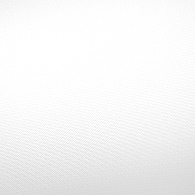 Savage 8 x 10-Foot Solid Vinyl Backdrop Background Pure White