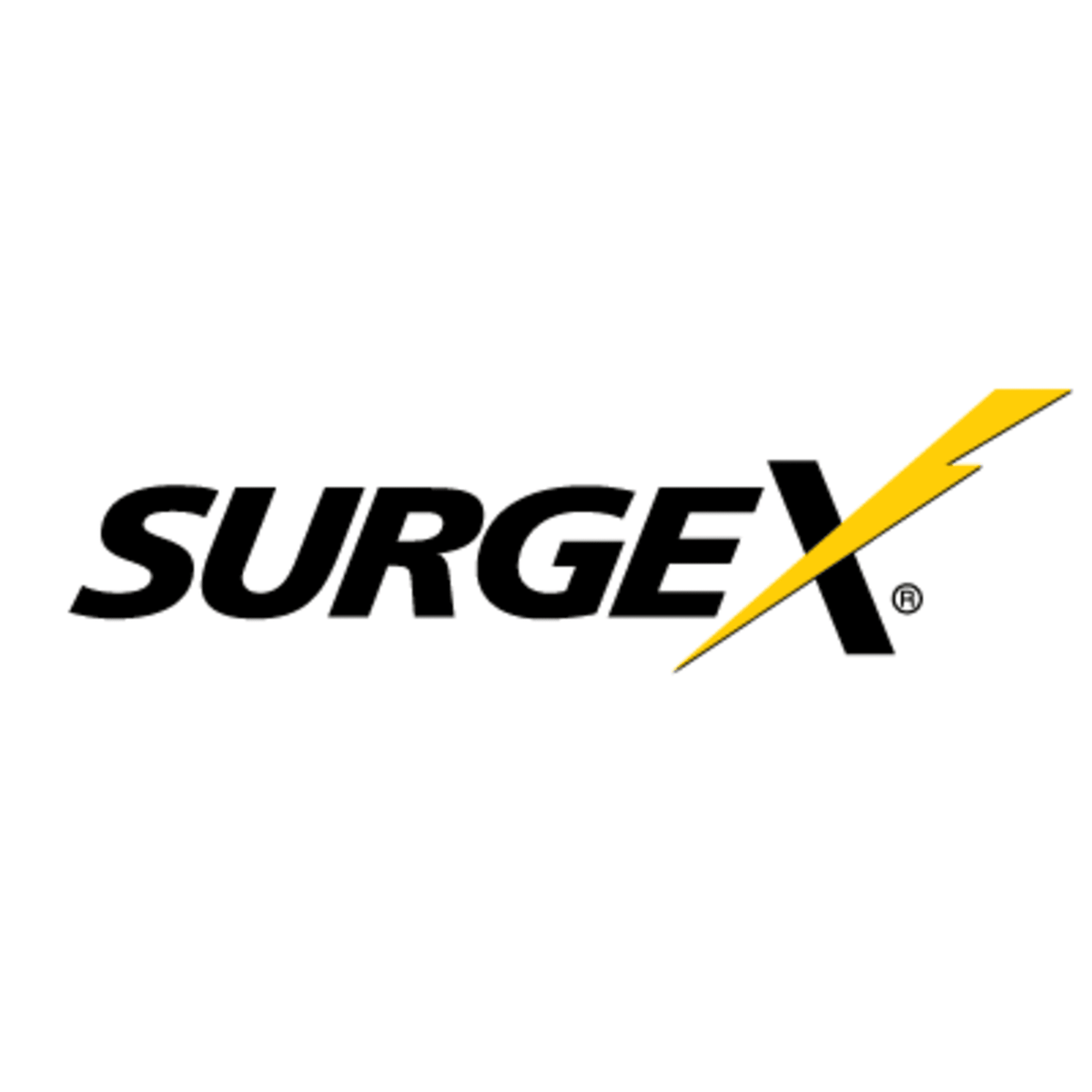 SurgeX 17824-01R Battery Replacement Kit for 1000VA Sinergy III System ...
